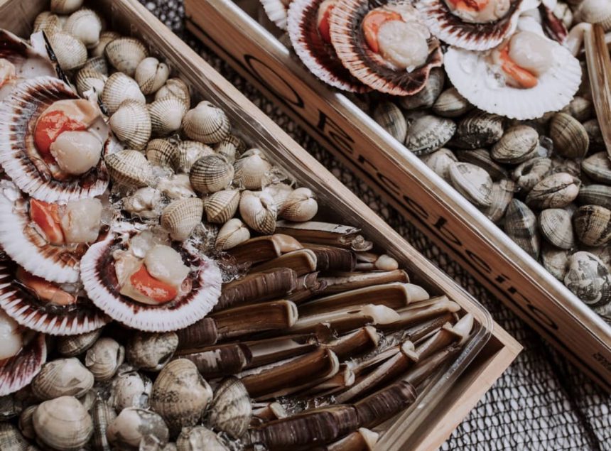 ventajas de una boda en galicia